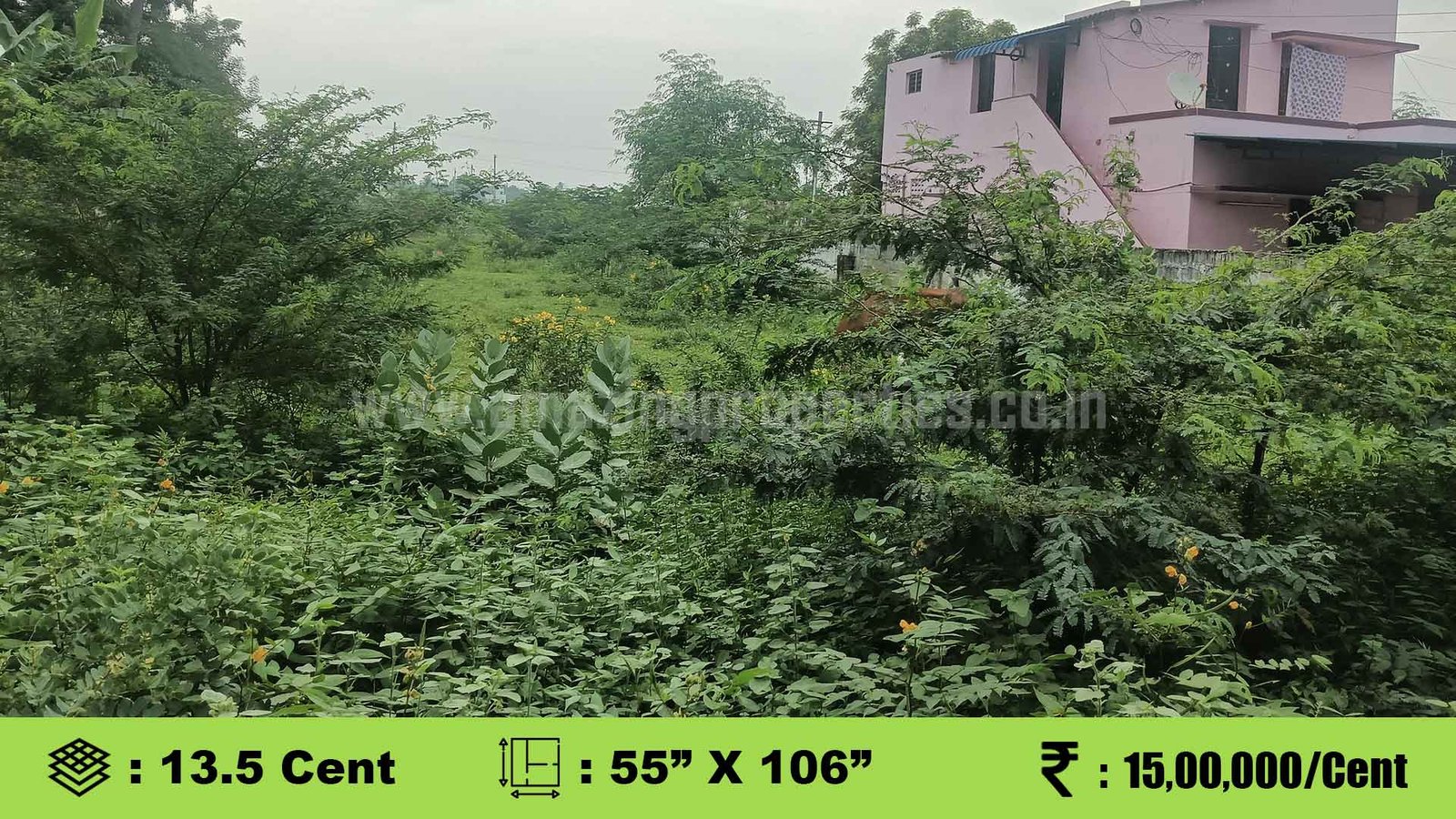 Plot for sale in Thyagaraja Nagar, Palayamkottai, Tirunelveli