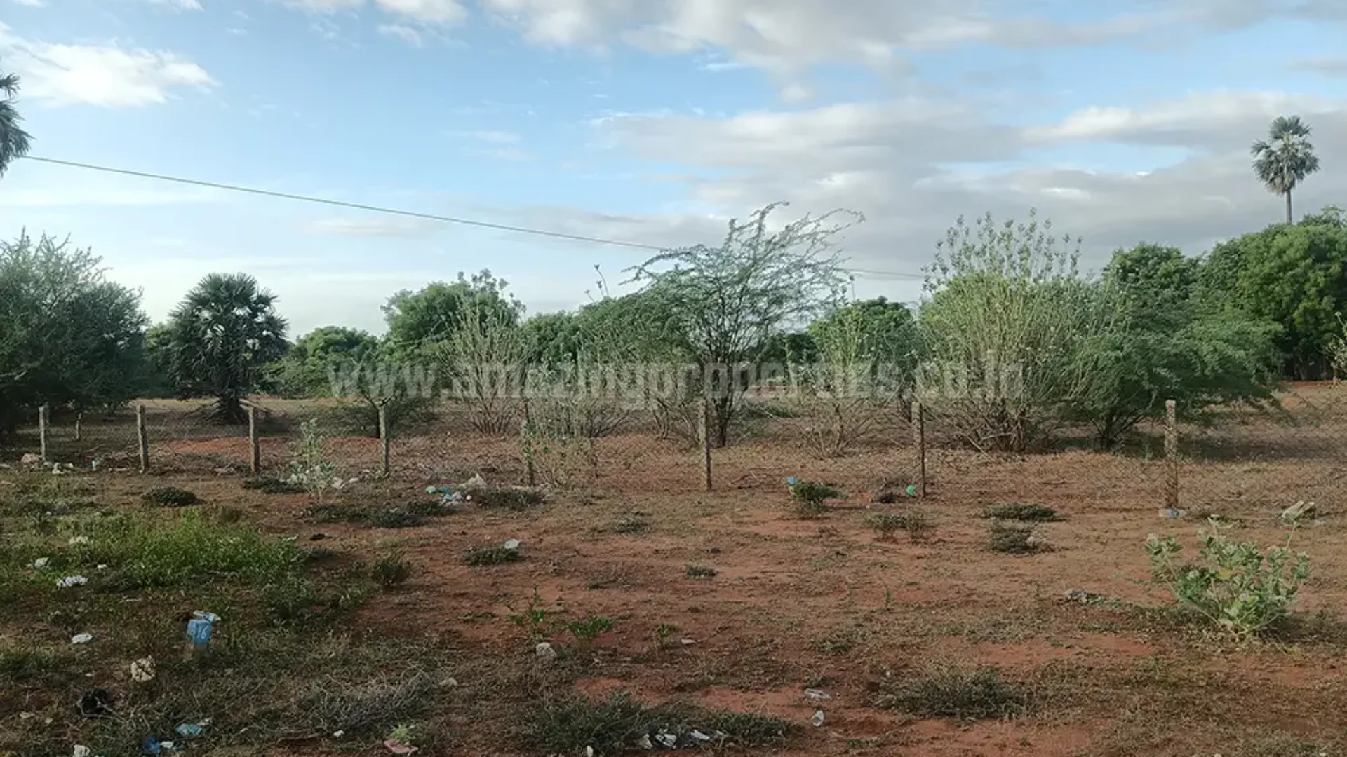 Land for sale in Palayamchettikulam, Tirunelveli