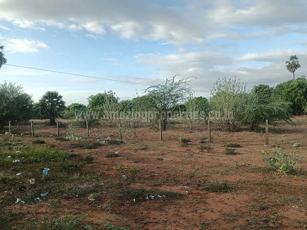 Land for sale in Palayamchettikulam, Tirunelveli